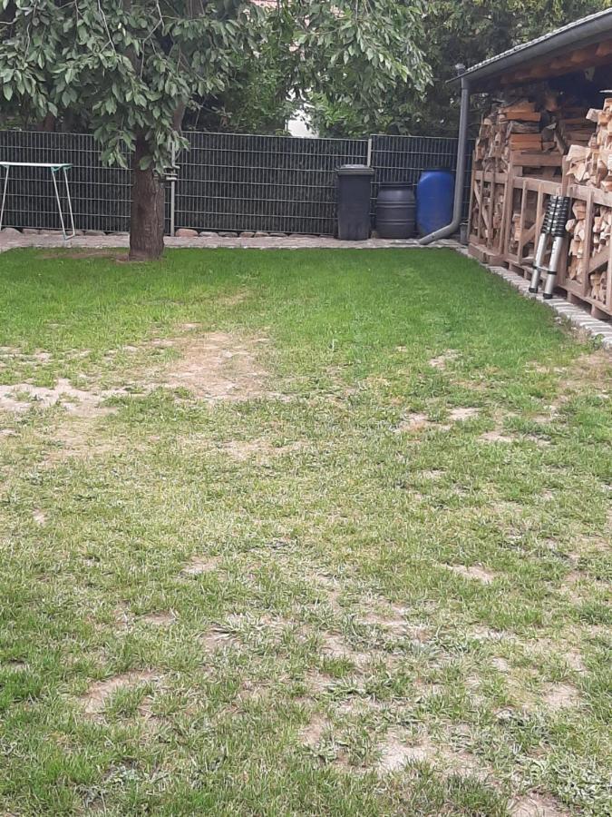 Ferienhaus Flotte Biene In Buggow Rubkow Exterior foto